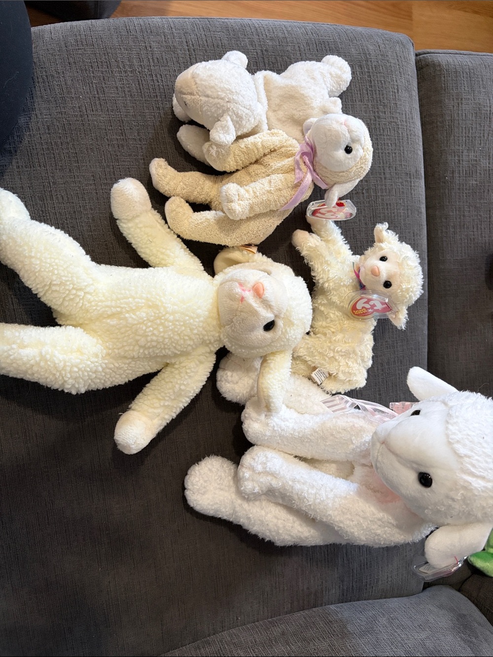 Ty Lambs Bundle